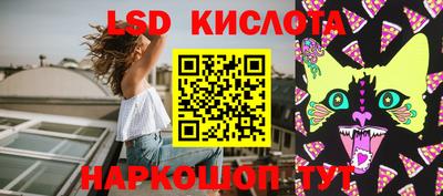 стаф Сланцы