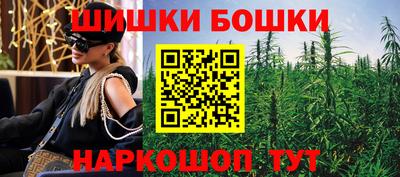 стаф Сланцы