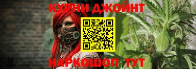 стаф Сланцы