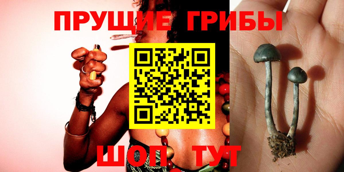 Кореновск  Галлюциногенные грибы Psilocybe  Вход с VPN 